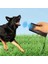 Bfs Ultrasonik Köpek Kovucu ve Eğitici Cihaz 2