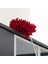 Bfs Teleskopik Mikrofiber Pratik Uzayabilen Toz Alma Fırçası Aparatı 4