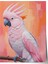 Çerçevesiz Poster, Pembe Kakadu – Tropikal Kuş Portresi, Yatak Odası Dekoru Poster No: 109970 1
