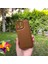 iPhone 12 Pro Max Kamera Korumalı Deri Desenli Kahverengi Silikon Kılıf 1