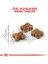 Royal Canin Kitten Yavru Kedi Maması 4 kg 2