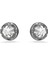 5723185 Swarovski Küpe Sublıma:pe Spıkes Whı/rus 1