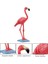 Model Oyuncaklar Flamingo Katı Hala Dekoratif Süsler (Yurt Dışından) 2