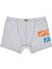 Erkek Çocuk Boxer 3'lü Baskılı (%96 Pamuk - %4 Elastan) 6