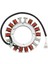 Kawasaki FH381V FH430V FH451V Cub Cadet 1525 1527 1529 Enforcer 44 59031-7009 59031-7001 59031-7014 Için Stator Bobini (Yurt Dışından) 1