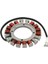 Kawasaki FH381V FH430V FH451V Cub Cadet 1525 1527 1529 Enforcer 44 59031-7009 59031-7001 59031-7014 Için Stator Bobini (Yurt Dışından) 2