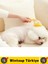 Ergonomik Kedi Köpek Banyo Temizlik Masaj Etkili Zararsız Silikon Sıvı Hazneli Evcil Hayvan Tarağı 2