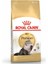 Persian Açık Yetişkin Kuru Kedi Maması 1 kg 1