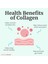 Grassfed Collagen Bioactive Kollajen Peptides + Vitamin C Biotin Sodium Complex 6