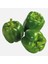 Doru 16 Dolma Biber Tohumu-5 Gram (Orjinal Paket) 1