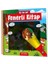: Dikkat ve Zeka Geliştirme Kitabı (Fenerli Kitap) - 12-36 Ay, 0-2 Yaş 5