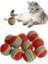 Bfs 3lü Gökkuşağı Sünger Kedi Köpek Çiğneme Oyun Topu 4,2 cm 2