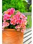 Iç Mekan Özel Renk Uzun Ömürlü Dayanıklı Pink Taç Çiçeği /mini Boy 15CM 1