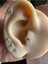 Cerrahi Çelik Üçgen Tek Taş Pıercıng-Tragus,helix,lobe,antı Helix-Taş Çapı 4mm-Bar 6mm-1 Adet 5