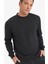 %100 Pamuk Regular Fit Bisiklet Yaka Antrasit Erkek Sweatshirt E8339AX/AR235 1