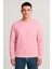 Kadın - Erkek Sweatshirt – Bisiklet Yaka Basic Uzun Kollu Rahat Fit 1