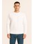 Kadın - Erkek Sweatshirt – Bisiklet Yaka Basic Uzun Kollu Rahat Fit 1