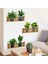 Raflı Bitki Tasarımlı Yapışkanlı Sticker 20*30 cm 3lü Set 4
