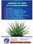 Aloe Vera Maskesi 1