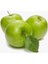 Tüplü Yarı Bodur Yeşil Granny Smith Elma Fidanı 1