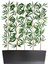 Yapay Çiçek Antrasit Saksıda 120 cm Bambu 15 Adet (Tüm Set Dahil) Seperatör 1