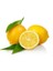 Limon Bonesi / 10 Adet / Bitki Çayı Bonesi 2
