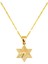 Selçuklu Yıldızı Kolye 14 Ayar Altın 1