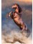 35521 Wild Red Stallion 500 Parça Puzzle 2