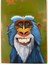 Yağlı Boya Tablo – Mandrill Portresi (50×70 Cm) 1