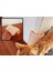 Kedi Kaşıma Aparatı 1