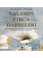 Yaşamın Fırça Darbeleri 1