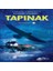 Tapınak 1