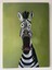Şaşkın Zebra Yağlı Boya Tablo | 50×70 cm 2