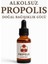 Propolis 1