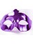 Mor Renk Kostüm Partisi Ekstra Parlak Balo Maskesi 1