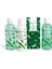 Idc Instıtuteıtute Aloe Vera Aromalı 4'lü Nemlendirici Set 1
