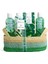 Idc Instıtuteıtute Aloe Vera Aromalı 4'lü Nemlendirici Set 2