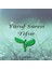 Yusuf Suresi Tefsir 1