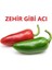 Meksika Acı Salsa Biber Fidesi-5 Adet 1