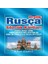 Beşir Pratik Rusça Sözcük Kartları 1