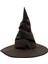 Harry Potter Seçmen Şapkası Yetişkin Boy 1