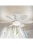 Daisy Fan LED 50W Kumandalı Işıklı Vantilatör HS-9302 1