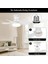 Daisy Fan LED 50W Kumandalı Işıklı Vantilatör HS-9302 3
