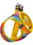 Air-Mesh Rainbow Köpek Göğüs Tasması 2