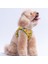 Air-Mesh Watermelon Köpek Göğüs Tasması 4