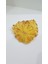 Ananas Kurusu - Doğal Yollarla Kurutulmuş Çıtır Meyve -Kurutulmuş Ananas-Kuru Meyve 50 gr 3
