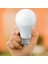 Ledx AL-A109 9 Watt E27 6500K 810 Lümen Beyaz LED Ampul 2