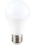 Asami AS-9015 15 Watt E27 1350L 3200K Gün Işığı LED Ampul 1