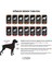 Havana Küçük ve Orta Irk Köpek Gömleği 5