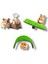 Hamster 2 Li Hareket Parkuru 12X6 cm 1 kg Hamster Banyo Oyun Kumu 1